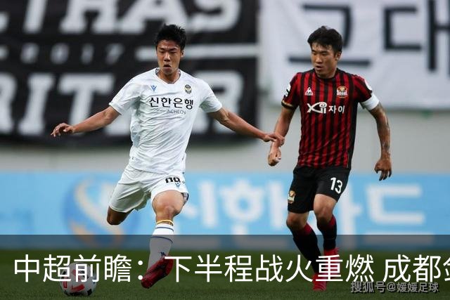 中超前瞻：下半程战火重燃 成都剑指三分申花求反弹