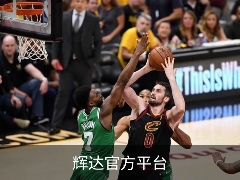 辉达官方平台品牌故事